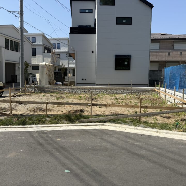 ワールドバザールに建ち並ぶ家